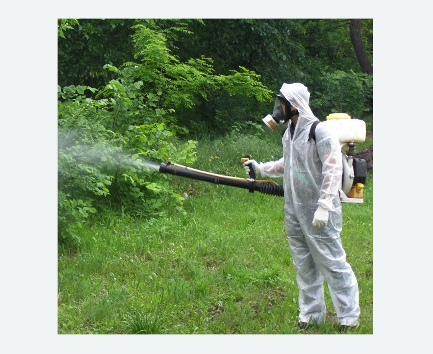 обработка территории от клещей в Новопавловске