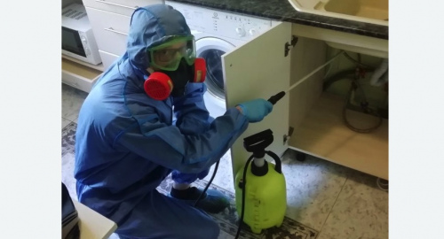 Уничтожение муравьев в квартире. Новопавловск
