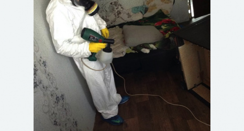 Обработка квартир от насекомых в Новопавловске