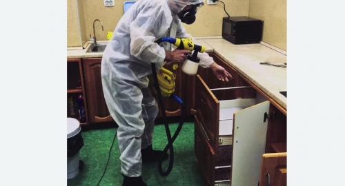 Дезинсекция квартиры. Новопавловск