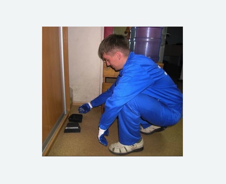 Дератизация крыс Дератизация крыс в Новопавловске