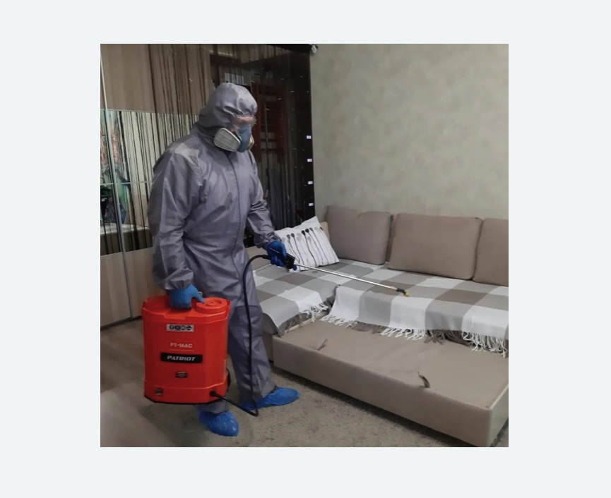 Обработка квартиры от блох в Новопавловске Обработка квартиры от блох