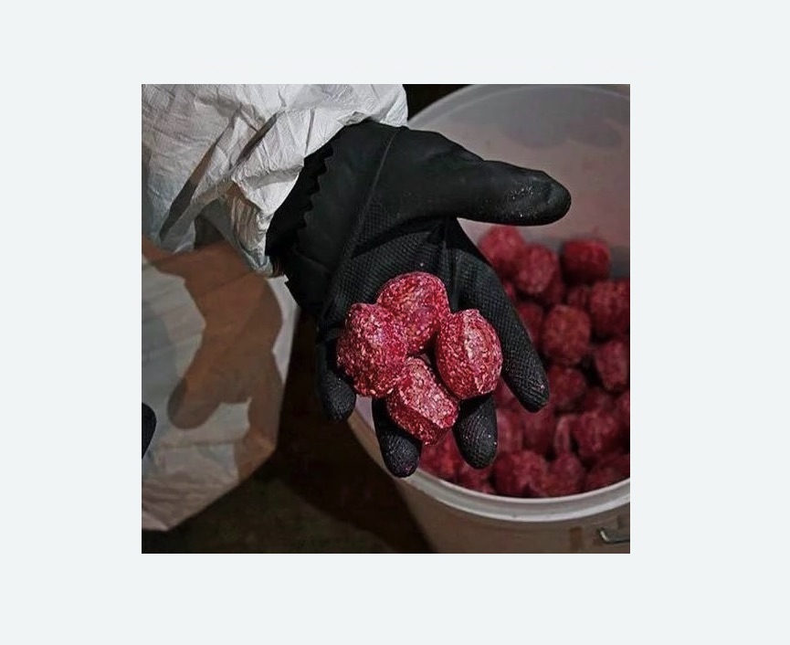 Обработка от крыс Обработка от крыс в Новопавловске