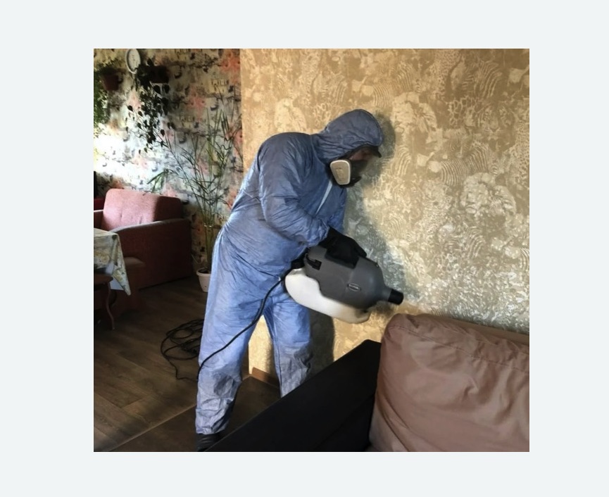 Уничтожение блох в квартире. Новопавловск Уничтожение блох в квартире