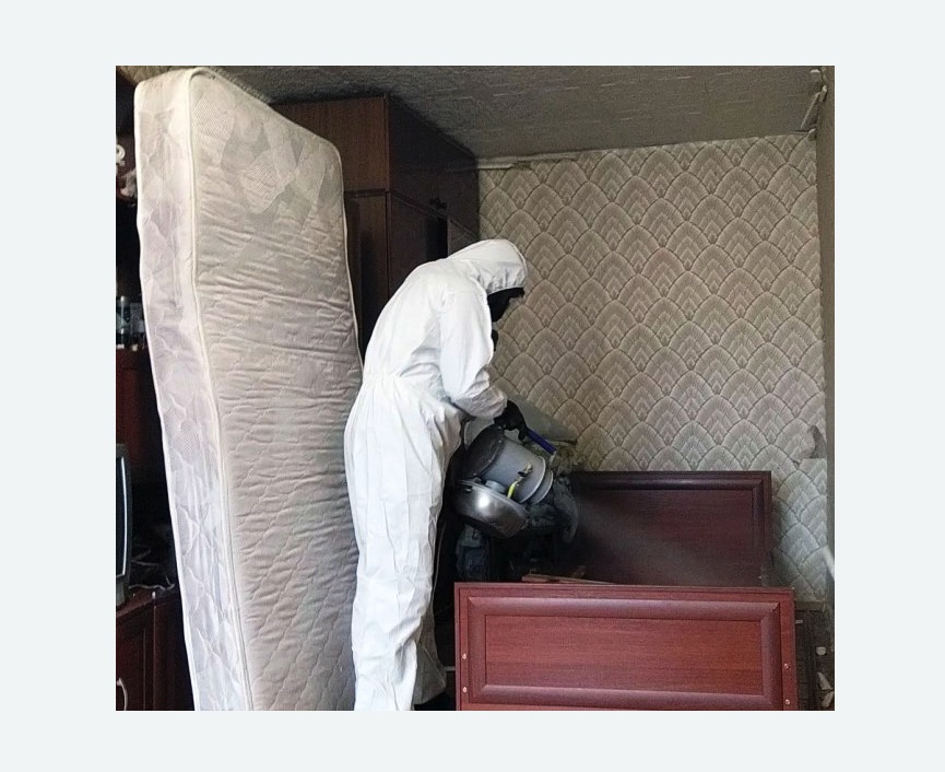 дезинфекция от клопов в Новопавловске