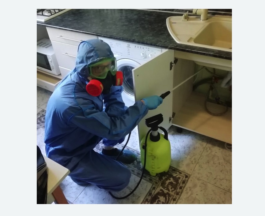 обработка от муравьев в квартире обработка от муравьев в квартире в Новопавловске