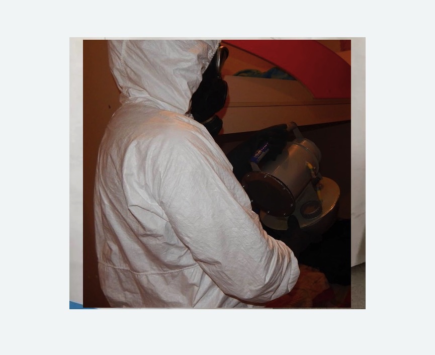 Дезинфекция от муравьев Дезинфекция от муравьев в Новопавловске