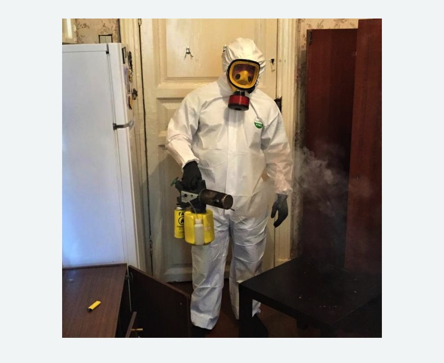 уничтожение муравьев в квартире уничтожение муравьев в квартире в Новопавловске